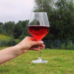 diVinto Obří sklenice na víno 870 ml čirá