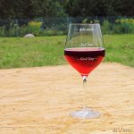 diVinto Slavnostní obří sklenice na víno 870 ml - Who cares ? čirá