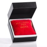 Gadget Factory Polštářek pro Vašíka (CZ)