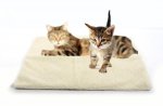 Pet Comforts Self Heating Pet Bed 64x49cm