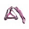 Verk 19018 Nylonový postroj s vodítkem pro psa 121 x 2.5 cm Color
