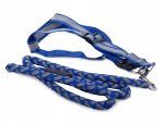 Verk 19116 Nylonový postroj s vodítkem pro psa 120 x 1,2 cm modrý
