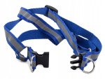Verk 19117 Nylonový postroj s vodítkom pre psa 120 x 1,5 cm modrý
