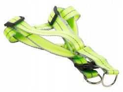 Verk 19121 Nylonový postroj s vodítkem pro psa 125 x 2,5 cm zelený