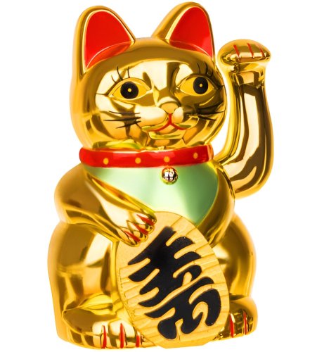 ISO Čínská kočka zlatá