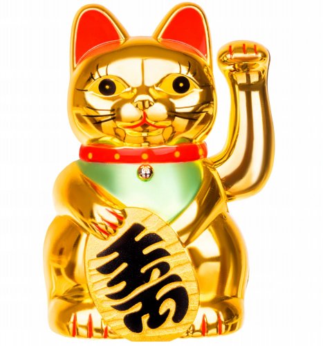 ISO Čínská kočka zlatá