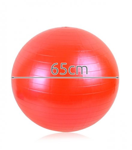ISO Gymnastická lopta 65 cm + hustilka