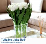 GFT Umelé tulipány 10 ks - biele