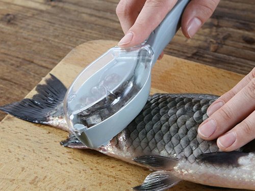 Verk 15829 Škrabka na rybie šupiny