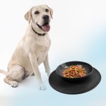 GFT Protiskluzová podložka s miskou