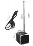 Izoxis Prenosné rádio Global Technology TD - V26
