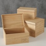 Boltz Dekoratívne drevený box s vekom Natural Set 3 ks