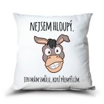 Ahome Polštář Nejsem hloupý