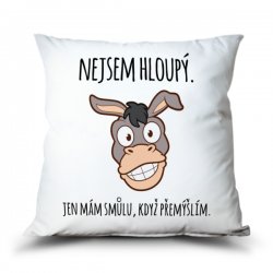 Ahome Polštář Nejsem hloupý