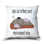 Ahome Polštář Jdu za svými sny! Hodně spím.