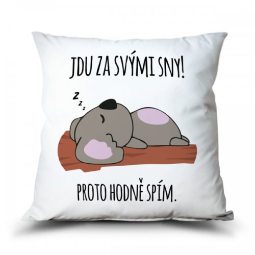 Ahome Polštář Jdu za svými sny! Hodně spím.