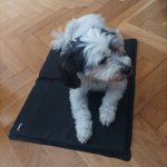 Purlov Chladicí podložka pro psa nebo kočku 50 x 40 cm