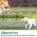 GFT Dentální hračka pro psy 