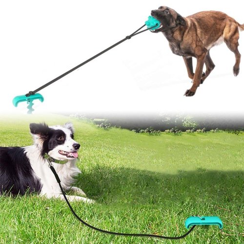 GFT Dentální hračka pro psy