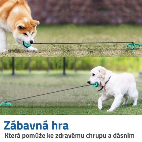 GFT Dentální hračka pro psy 