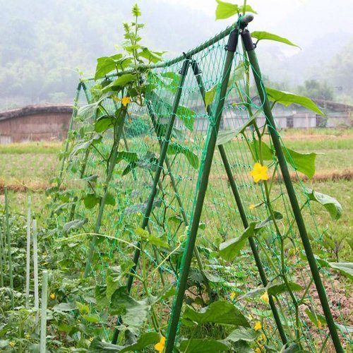 GFT Podpůrná síť pro pěstování zeleniny a květin 