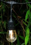 ISO 15617 LED vonkajšie dekoračné reťaz girlanda 5m 24V IP44