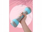 Verk 14316 Fitness činky 2 x 2 kg modrá