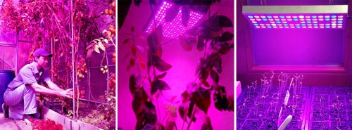 Gardlov 16347 Závěsné LED svítidlo pro pěstování rostlin GROW 225LED/35 W