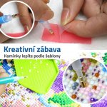 GFT Diamantové malování svítící ve tmě - motýl 