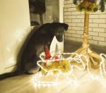 Malatec 17219 Vianočné LED Sob 11 m, IP20 teplá biela