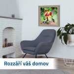 GFT Diamantové malování basic - ptáčci