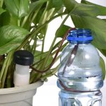 Malatec Automatický dávkovač vody do izbových rastlín