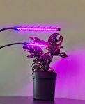 Gardlov 19241 LED Lampička pro pěstování rostlin 20 LED 2 panely 20W