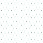 Verk 01729 Ochranná síť proti ptákům 4 x 6 m