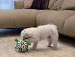 KIK KX5781 Interaktivní fotbalový míč pro psa, 18cm