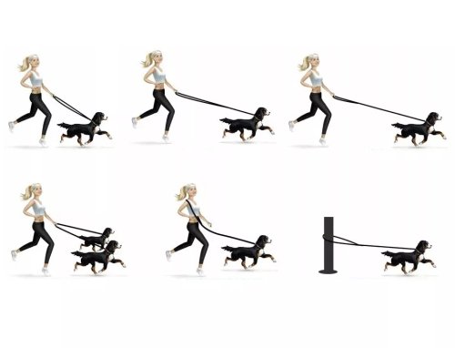 Nuxie 2118 Tréningové vodítko pre psov nastaviteľné 155 cm