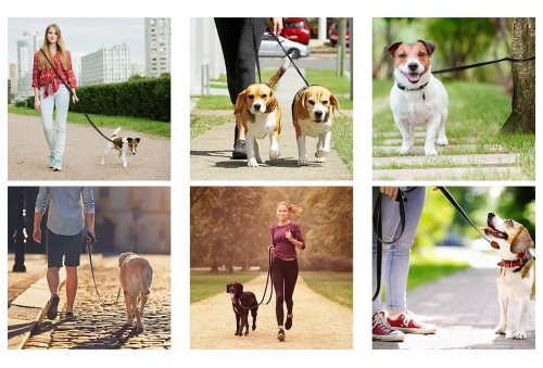 Nuxie 2118 Tréningové vodítko pre psov nastaviteľné 155 cm