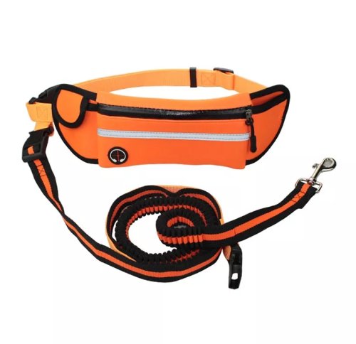 Nuxie Ledvinka s vodítkom pre psa, čierna