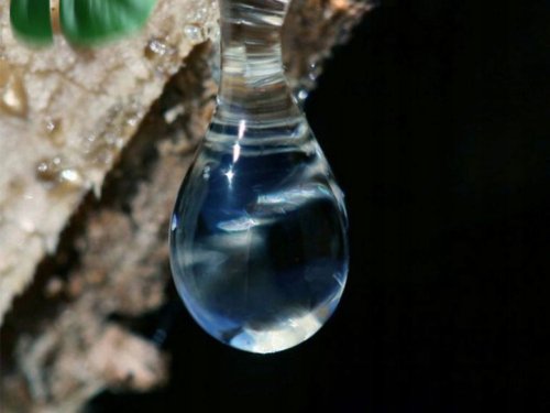 Verk 11301 Tavné tyčinky 36ks, 11x300 mm 1 kg biele