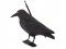 Verk 01436 Odpudzovač holubov a vtákov havran