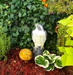 Verk 01437 Odpuzovač holubů a ptáků Sokol 40 cm