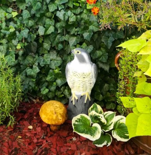 Verk 01437 Odpuzovač holubů a ptáků Sokol 40 cm