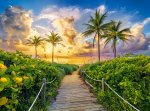 CASTORLAND Puzzle Sunrise in Miami 3000 dielikov