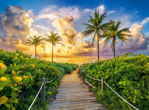 CASTORLAND Puzzle Sunrise in Miami 3000 dielikov
