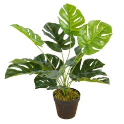 Lex Rastlina Monstera s kvetináčom umelá 45 cm zelená