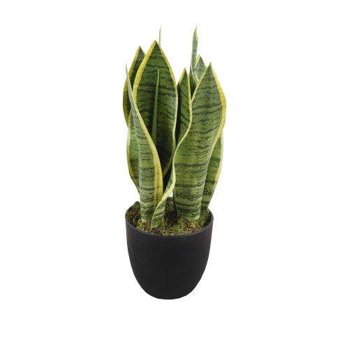 Lex Rastlina Sansevieria s kvetináčom umelá 33 cm zelená