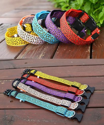 Nuxie LED svietiaci obojok pre mačku a psa veľ. M 40 cm oranžový