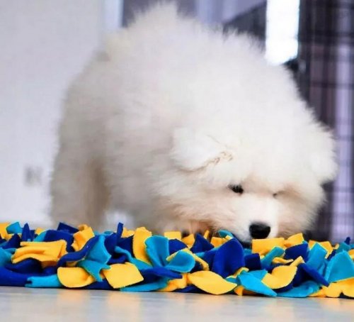 Nuxie XT2374 Čmuchací kobereček XL 35 cm s hračkou fialovo-žluto-modrý