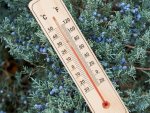 Verk 07185 Teploměr venkovní 22 cm dřevěný