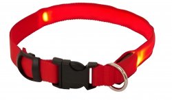 Pronett XJ3063 LED svietiaci obojok červený